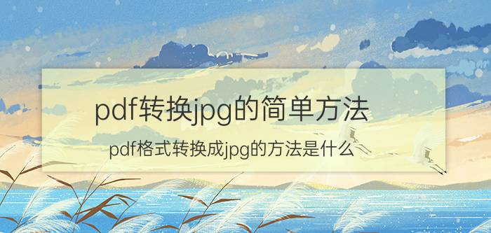 pdf转换jpg的简单方法 pdf格式转换成jpg的方法是什么？